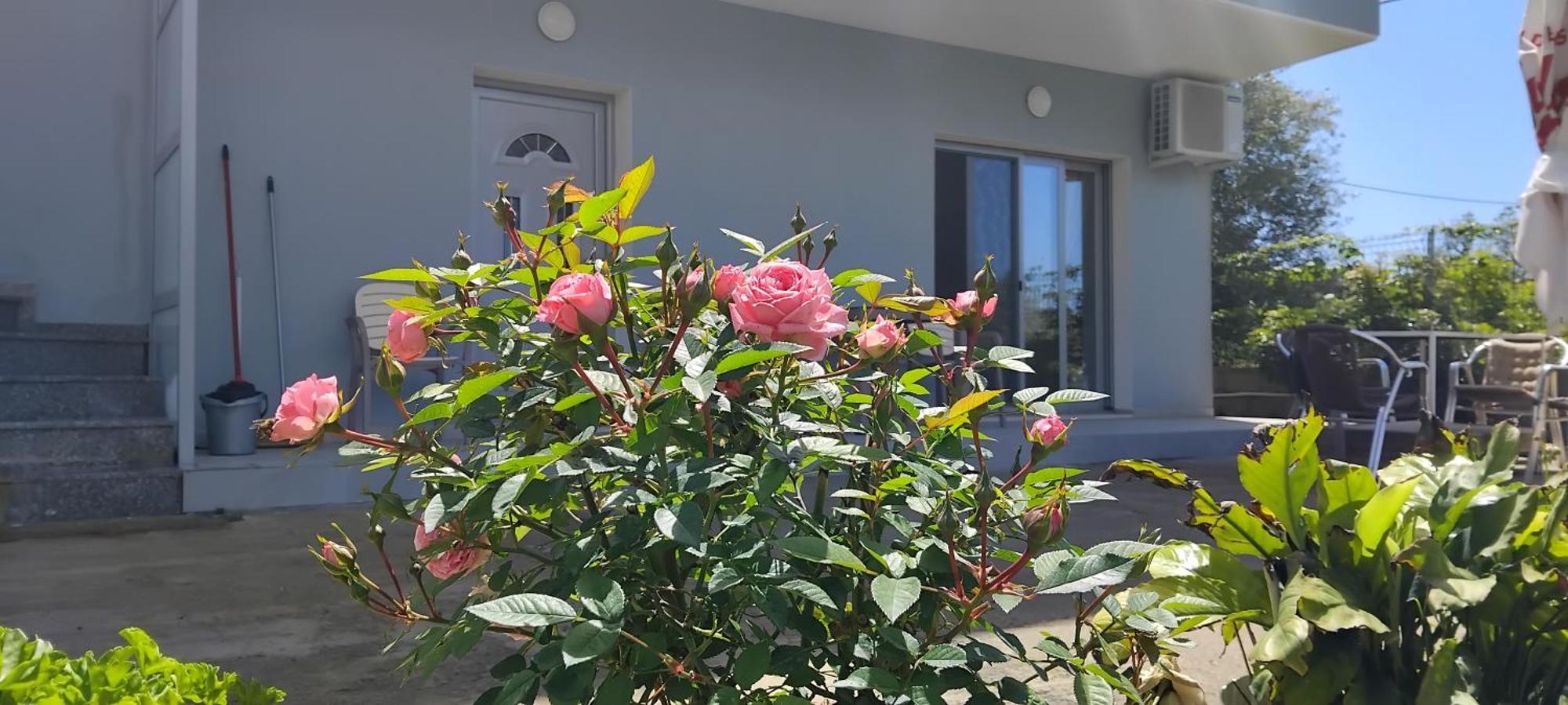 Marios Apartament Himara
